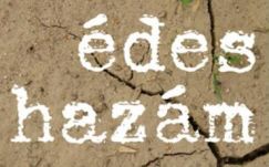 Divat-e ma politikai verset írni?