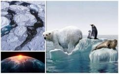 Ez az év is a legmelegebb a történelemben