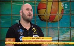 Vízilabda: ő lehet Benedek Tibor utódja 