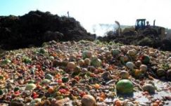 A államfő kihirdette az élelmiszerpazarlás csökkentését előíró törvényt