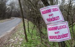 A magyar hatóságok értesítették Romániát a madárinfluenza-fertőzésről