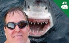 Két év alatt 127-en haltak bele a szelfizésbe világszerte