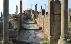 Krebsz János: Barbár borbár