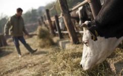 „Reggel 6 órától este 10-ig dolgozom, de érdemes gazdálkodni”