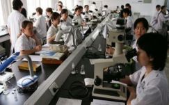 Kína a szabadalmak császára