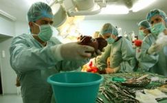 Egyetlen szervátültetést sem végeztek, mióta kitört az ANT körüli botrány