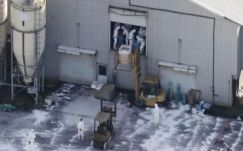 Több százezer baromfit öltek le Japánban is