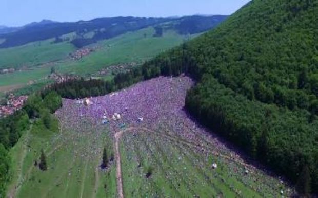 Székedi Ferenc: Afrikai üzenet