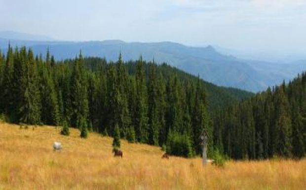 Nyilatkozatok tükrében / Összeállítás