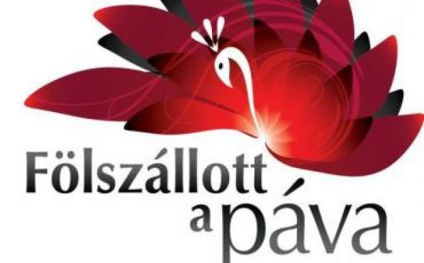 Erdélyiekért szoríthatunk a Fölszállott a páva pénteki döntőjében
