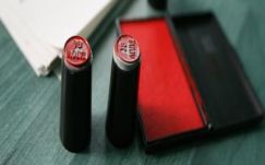 Rostás-Péter István: Egy voks vonzatai