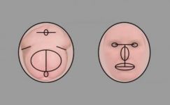 Kutatás: sok a közös a csimpánz hátsófelében és az ember arcában