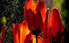 Ágoston Hugó: Kérdések kampányfinisben – avagy LEHET, mert KELL