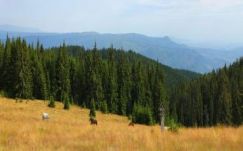 Nyilatkozatok tükrében / Összeállítás