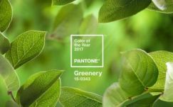 2017 színe: a levélzöld