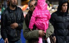 Több mint 32 ezer menedékkérelmi eljárás indult idén Ausztriában