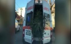 Megbírságoltak egy mentőst, mert fenyőfát szállított a mentőautóval