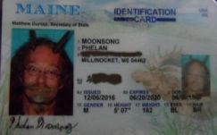 Kecskeszarvakat visel jogosítványképén egy pogány pap