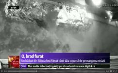 Fenyőfát lopott az út széléről egy nagyszebeni férfi 