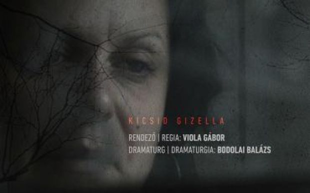 Rendezőként mutatkozik be Viola Gábor, a kolozsvári színház színésze