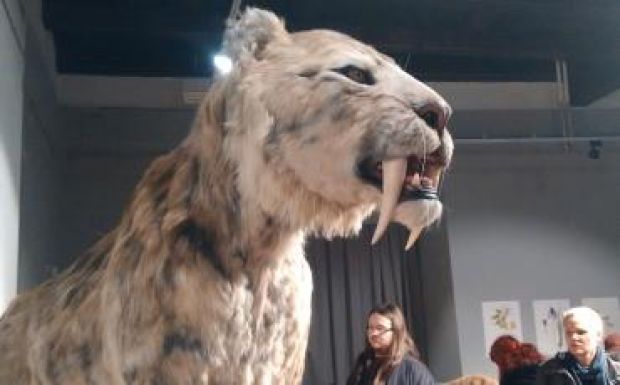 Életlecke és szórakozás – megnyílt Csíkszeredában a Jégkorszak vándorkiállítás