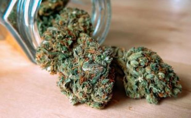 Másfél kilogramm kannabiszt találtak egy Bihar megyei férfi házának padlásán