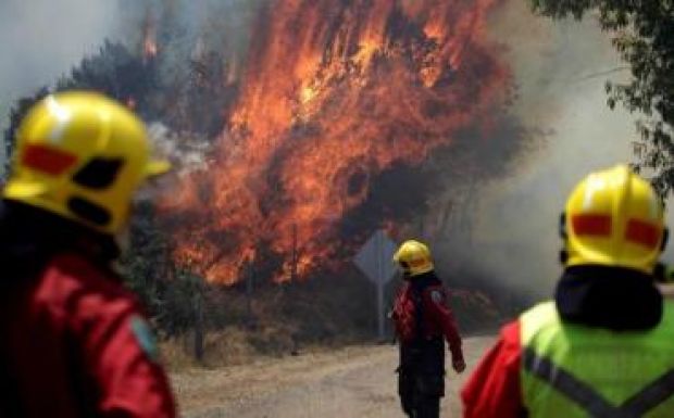 Csaknem félmillió hektár erdőt pusztított el a chilei tűzvész