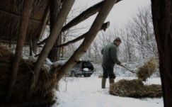  Etetik a vadakat a Hargita megyei erdészek