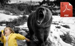 Online egyszerűen: medvék és e-bookok