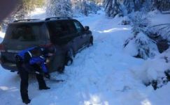 A hegyimentők találták meg az eltévedt magyarországi turistákat