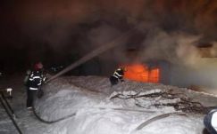 Kitiltották a bukaresti cirkuszból az állatidomár-számokat