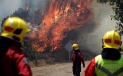 Csaknem félmillió hektár erdőt pusztított el a chilei tűzvész