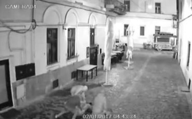 Kiraboltak egy férfit Mátyás király szülőházának közelében