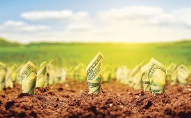 Megkönnyítik a mezőgazdasági termelők hozzáférését az EU-s alapokhoz