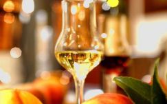 „A pálinka névhasználat kiterjesztéséről a magyar kormány dönt”