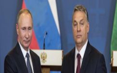 Papp Sándor Zsigmond: Ez a divat