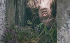 Újabb siker az Alakváltóknak: Aegon-díjra jelölték a regényt