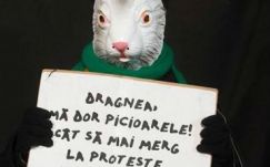 Felmérés készült Bukarestben a kormány ellen tüntetőkről