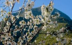 Tavaszias időjárással búcsúszik február