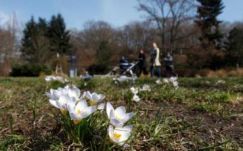 Felmelegedés várható a következő két hétben