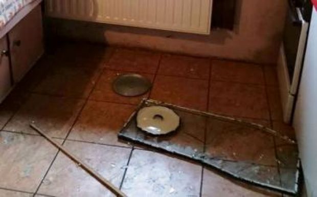 Egy hét alatt kétszer támadt a medve a Hargita megyében