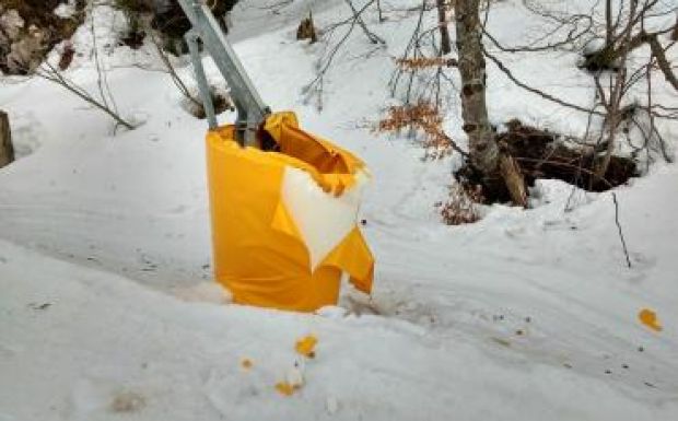 Több tucat védőszivacsot tettek tönkre a brassópojánai sípályákon a medvék