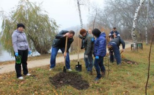 Közel 75 hektárnyi területet erdősít tavasszal a Bihar megyei erdészeti igazgatóság