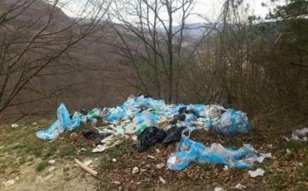 Az eddigi bírság tízszeresével sújthatják az erdőben szemetelőket