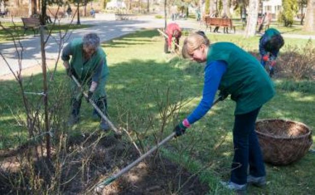 Virágba borult Sepsiszentgyörgy, de lopják a növényeket
