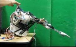 Érkezhetnek az emberi szövetből épült robotok