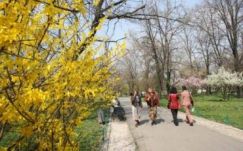 Tavaszias, csapadékos lesz az időjárás a hét elején