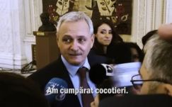A Rise Project utánajárt Liviu Dragnea „kókuszpálmákra költött” egymillió eurójának