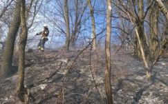 Erdőtűz volt csütörtök délután Hargita megyében