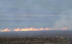 Megvonhatják a támogatást a gyújtogató gazdáktól